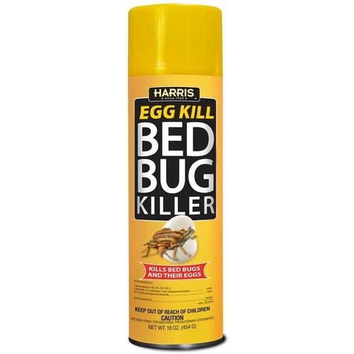 Bed bug killer spray - bug,