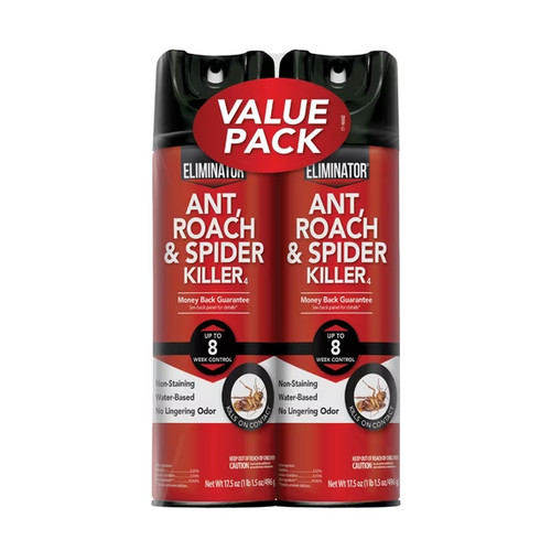 Indoor bug roach - indoor, spider