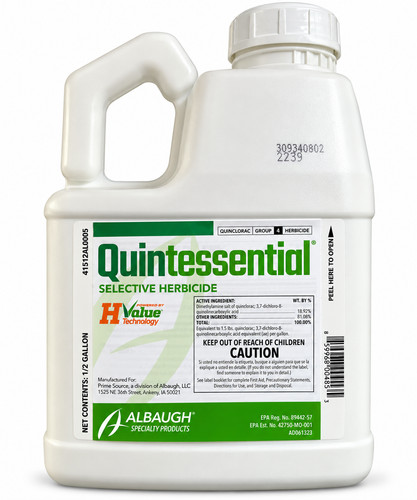 Quintessential premium - quintessential,