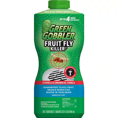 Fruit fly and drain - 32,