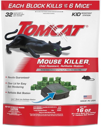 Mouse mice rat - mice,