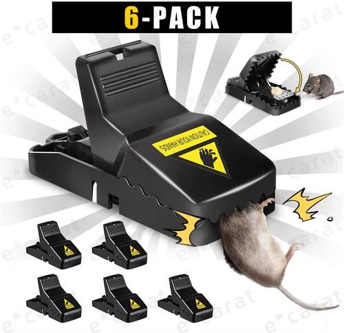 Pack mouse traps - mouse,