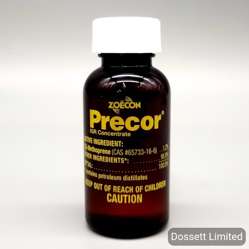 Precor igr flea - igr, egg