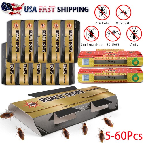 60pcs pest roach glue - 60pcs,