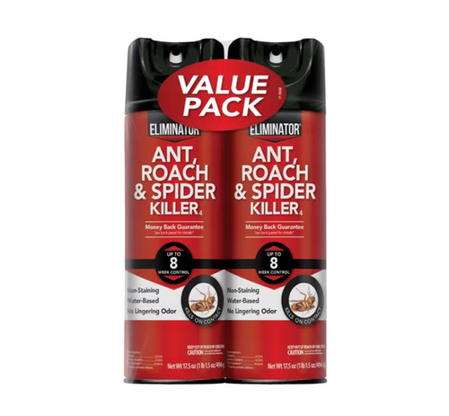 Indoor bug roach - roach, &
