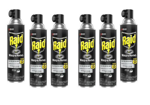 Pack raid wasp hornet - &,
