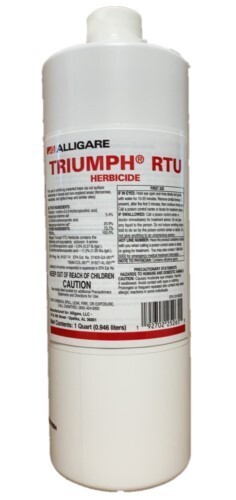 Triumph rtu cut - triumph,