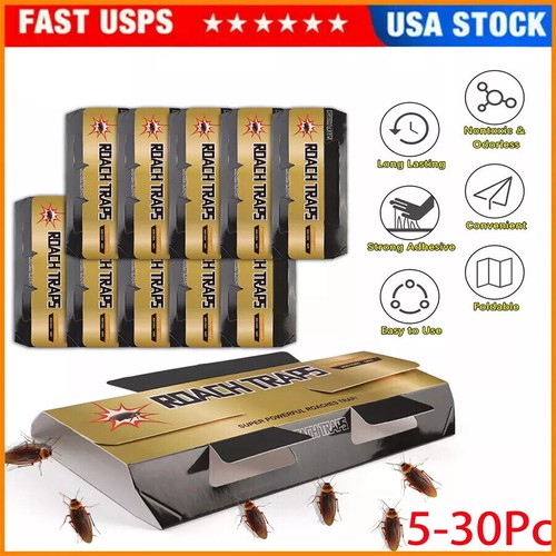 30pcs pest roach glue trap - roach,